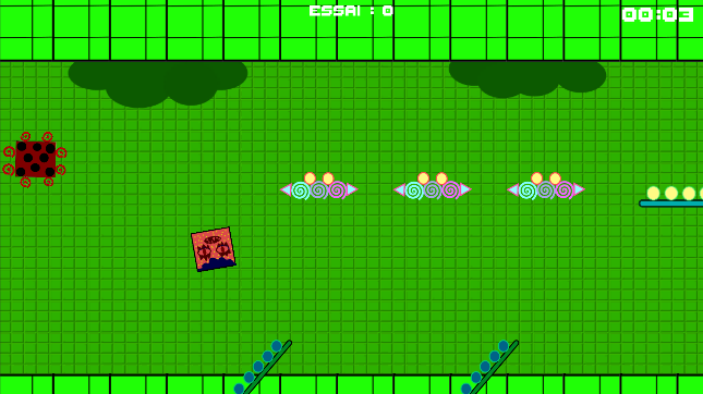 Image du jeu