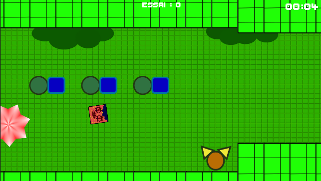 Image du jeu